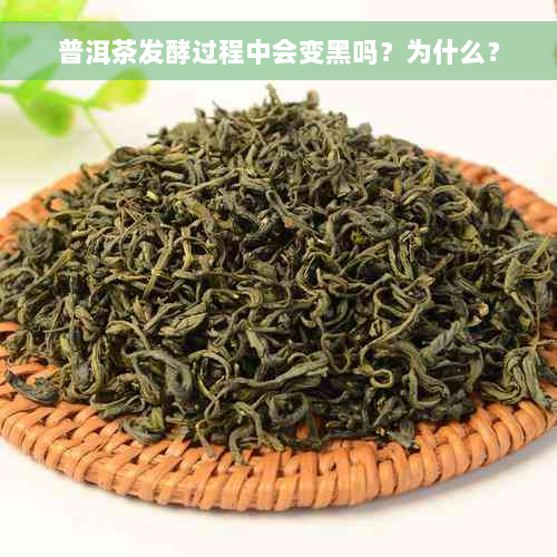 普洱茶发酵过程中会变黑吗？为什么？