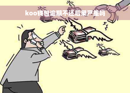 koo钱包逾期不还后果严重吗