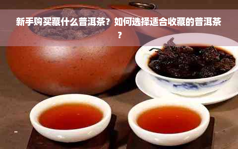 新手购买藏什么普洱茶？如何选择适合收藏的普洱茶？