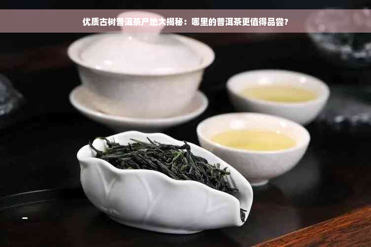 优质古树普洱茶产地大揭秘：哪里的普洱茶更值得品尝？