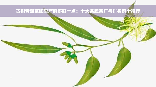 古树普洱茶哪里产的多好一点：十大名牌茶厂与排名前十推荐