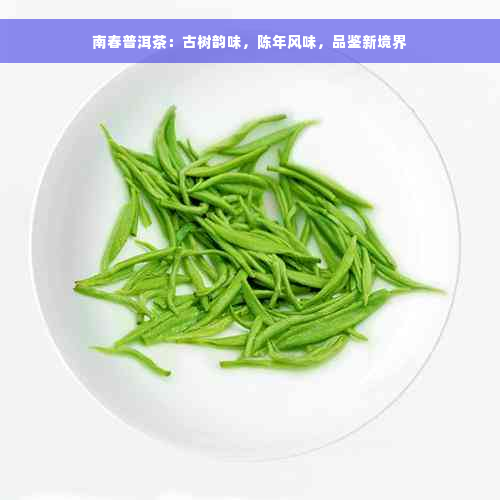 南春普洱茶：古树韵味，陈年风味，品鉴新境界