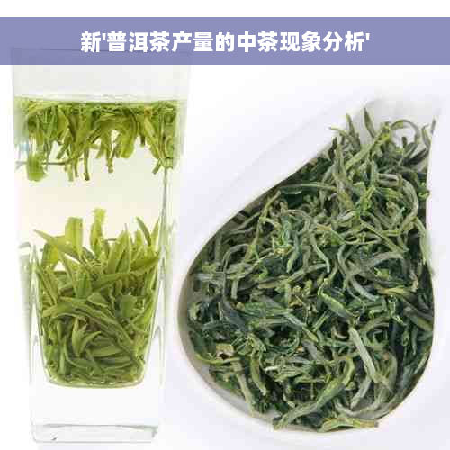 新'普洱茶产量的中茶现象分析'