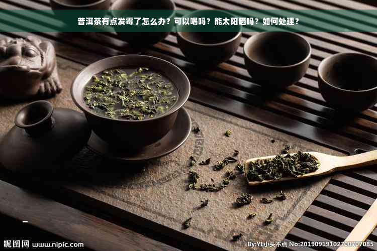 普洱茶有点发霉了怎么办？可以喝吗？能太阳晒吗？如何处理？