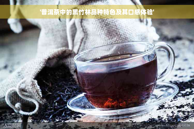 '普洱茶中的黑竹林品种特色及其口感体验'