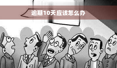 逾期10天应该怎么办