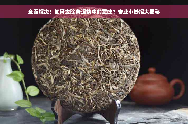 全面解决！如何去除普洱茶中的霉味？专业小妙招大揭秘