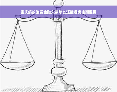 重庆蚂蚁消费金融欠款怎么还能避免逾期费用