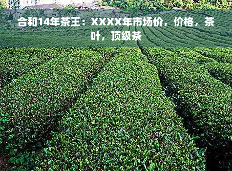 合和14年茶王：XXXX年市场价，价格，茶叶，顶级茶