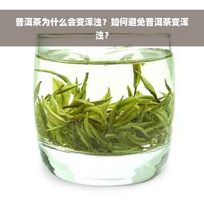 普洱茶为什么会变浑浊？如何避免普洱茶变浑浊？