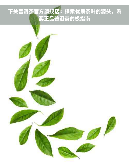 下关普洱茶官方旗舰店：探索优质茶叶的源头，购买正品普洱茶的极指南