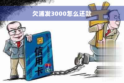 欠浦发3000怎么还款