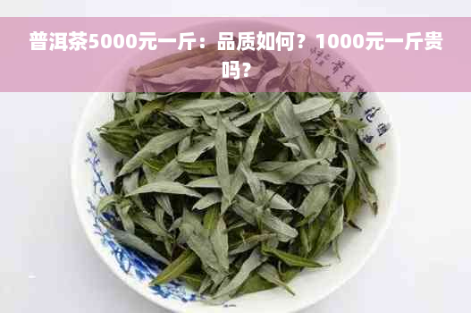 普洱茶5000元一斤：品质如何？1000元一斤贵吗？