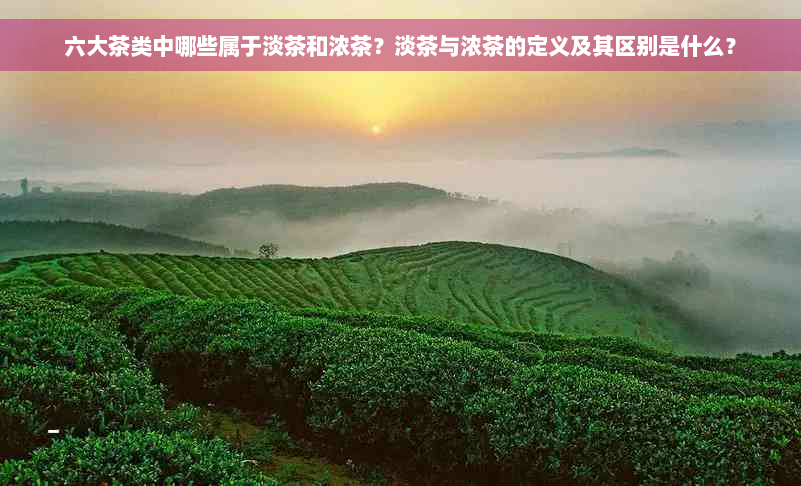 六大茶类中哪些属于淡茶和浓茶？淡茶与浓茶的定义及其区别是什么？