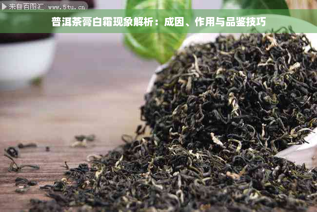 普洱茶膏白霜现象解析：成因、作用与品鉴技巧