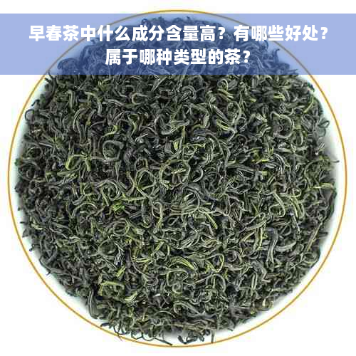 早春茶中什么成分含量高？有哪些好处？属于哪种类型的茶？