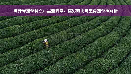 陈升号熟茶特点：品鉴要素、优劣对比与生肖熟茶历解析