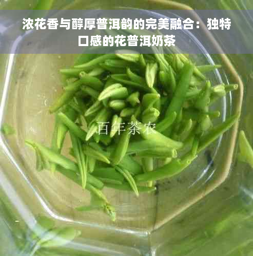 浓花香与醇厚普洱韵的完美融合：独特口感的花普洱奶茶