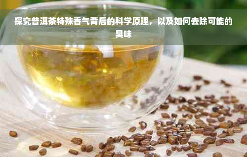 探究普洱茶特殊香气背后的科学原理，以及如何去除可能的臭味