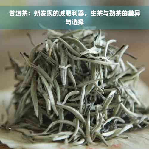 普洱茶：新发现的减肥利器，生茶与熟茶的差异与选择