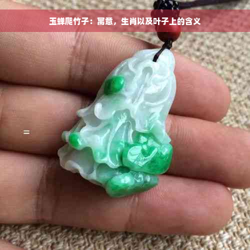 玉蝉爬竹子：寓意，生肖以及叶子上的含义