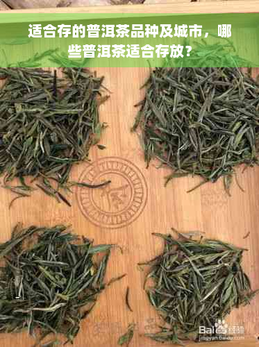 适合存的普洱茶品种及城市，哪些普洱茶适合存放？