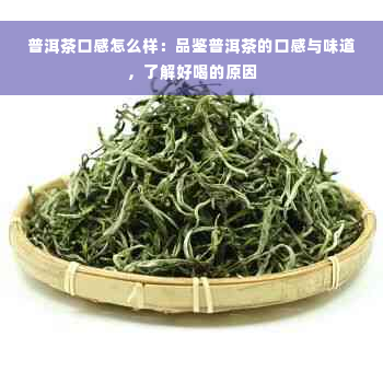 普洱茶口感怎么样：品鉴普洱茶的口感与味道，了解好喝的原因