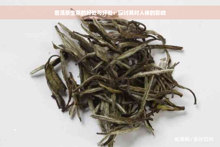 普洱茶生茶的好处与坏处：探讨其对人体的影响