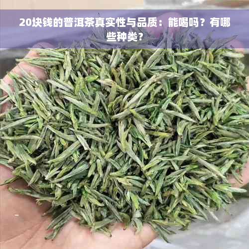 20块钱的普洱茶真实性与品质：能喝吗？有哪些种类？