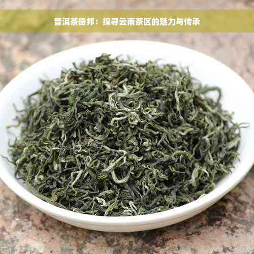 普洱茶倚邦：探寻云南茶区的魅力与传承