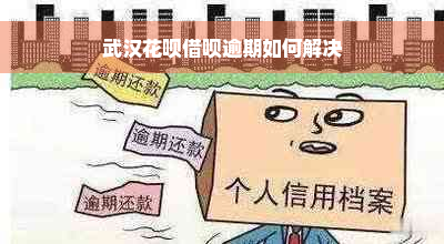 武汉花呗借呗逾期如何解决