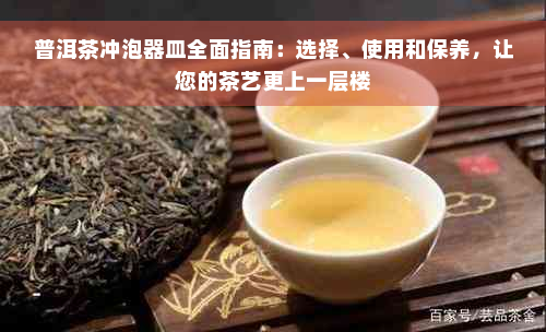 普洱茶冲泡器皿全面指南：选择、使用和保养，让您的茶艺更上一层楼