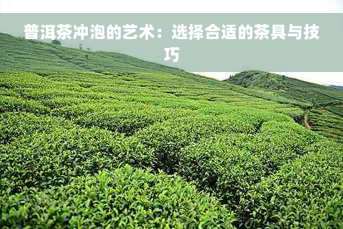 普洱茶冲泡的艺术：选择合适的茶具与技巧