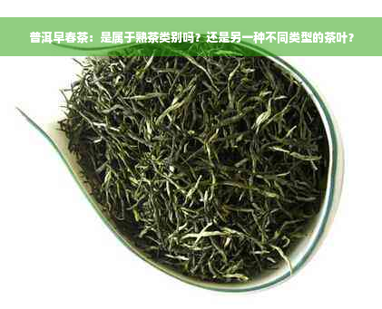 普洱早春茶：是属于熟茶类别吗？还是另一种不同类型的茶叶？