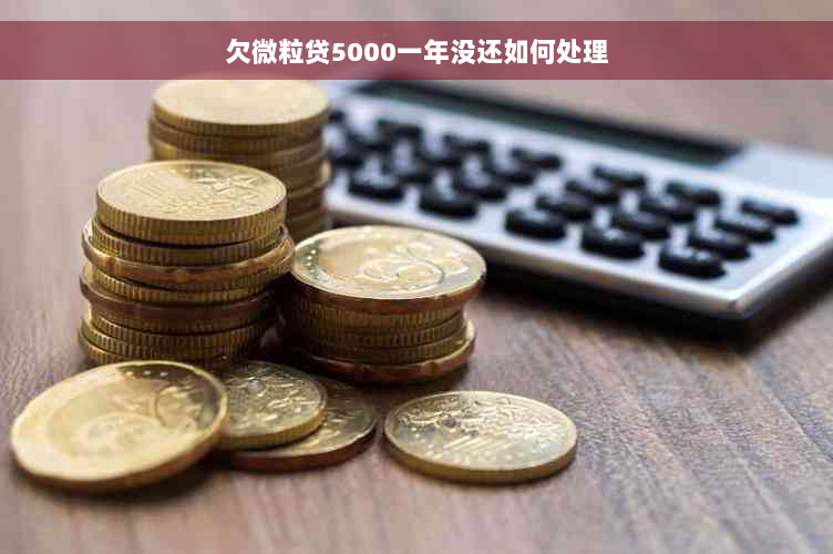 欠微粒贷5000一年没还如何处理