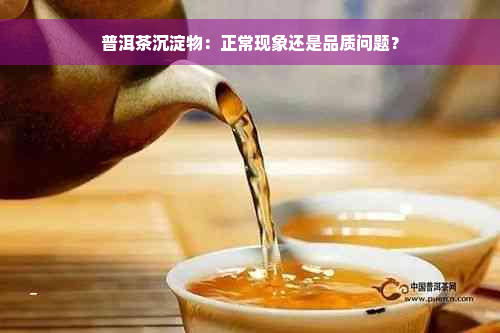 普洱茶沉淀物：正常现象还是品质问题？