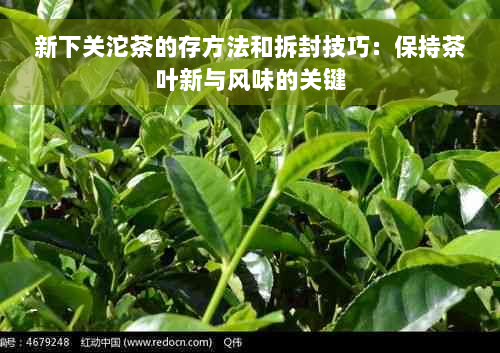 新下关沱茶的存方法和拆封技巧：保持茶叶新与风味的关键