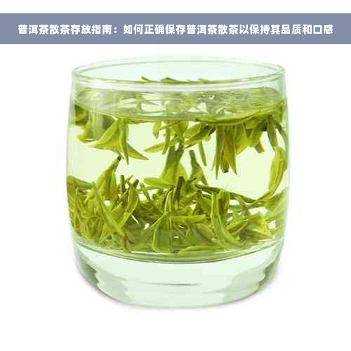 普洱茶散茶存放指南：如何正确保存普洱茶散茶以保持其品质和口感