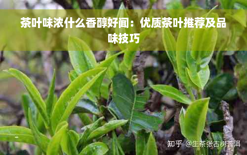 茶叶味浓什么香醇好闻：优质茶叶推荐及品味技巧