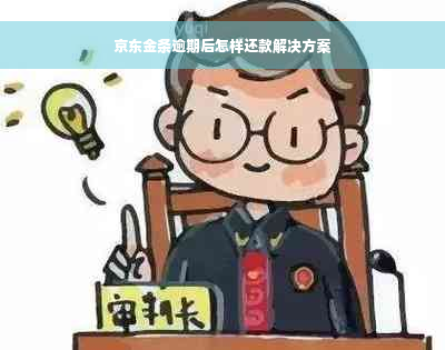 京东金条逾期后怎样还款解决方案