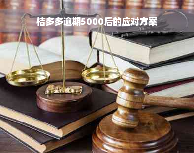 桔多多逾期5000后的应对方案