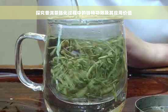 探究普洱茶陈化过程中的独特功效及其应用价值