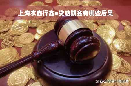 上海农商行鑫e贷逾期会有哪些后果