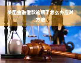 美团金融借款逾期了怎么办应对方法