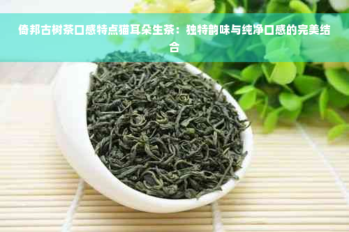 倚邦古树茶口感特点猫耳朵生茶：独特韵味与纯净口感的完美结合