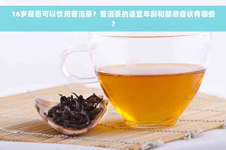 16岁是否可以饮用普洱茶？普洱茶的适宜年龄和禁忌症状有哪些？