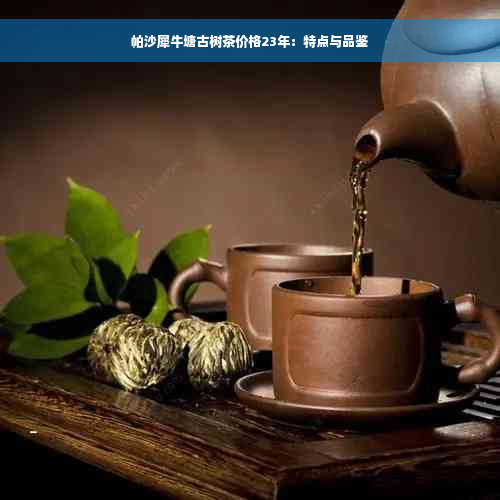 帕沙犀牛塘古树茶价格23年：特点与品鉴