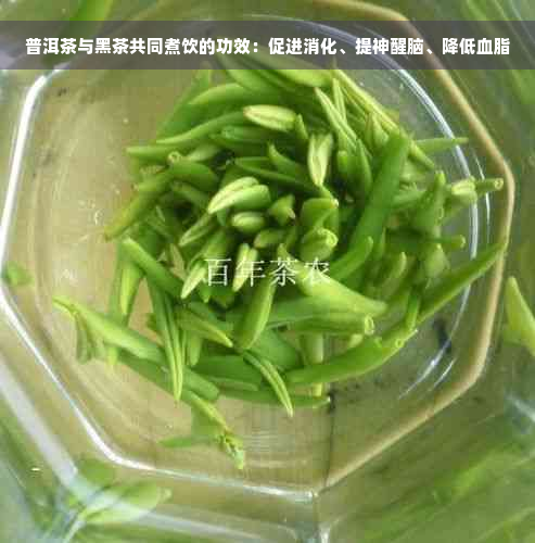 普洱茶与黑茶共同煮饮的功效：促进消化、提神醒脑、降低血脂