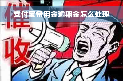 支付宝备用金逾期金怎么处理