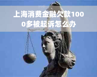 上海消费金融欠款1000多被起诉怎么办